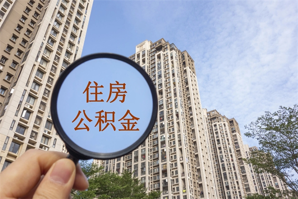 尉氏公积金10万元一年利息能多少（尉氏公积金贷款50万20年利息多少）